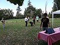 img 183
